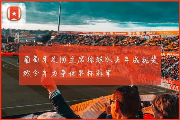 葡萄牙足协主席称球队去年成就斐然今年力争世界杯冠军