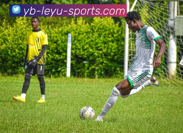 乐鱼体育APP 封面图